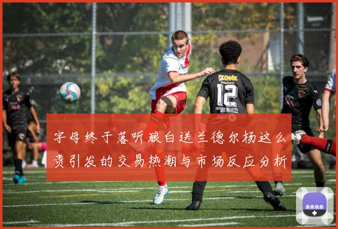 字母终于落听狼白送兰德尔杨这么贵引发的交易热潮与市场反应分析