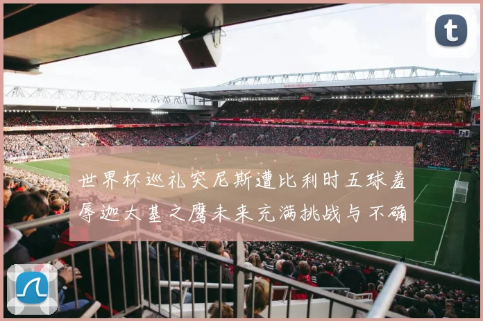 世界杯巡礼突尼斯遭比利时五球羞辱迦太基之鹰未来充满挑战与不确定性